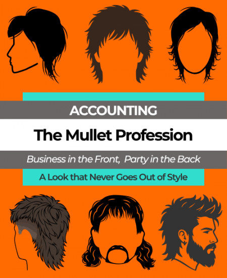 Accounting: The Mullet Profession